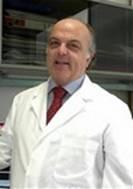 Prof. Dallapiccola