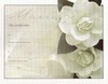 matrimonio in tre.jpg